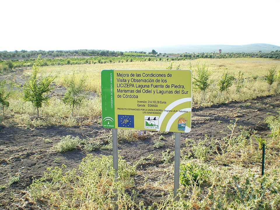 Foto 2 — Aguilar de la Frontera, Córdoba (14920)