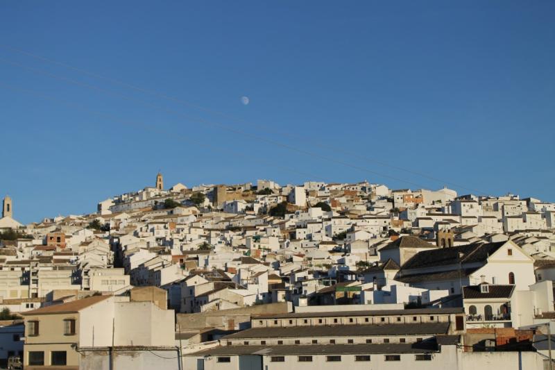 Vista de Baena, Córdoba (14850)