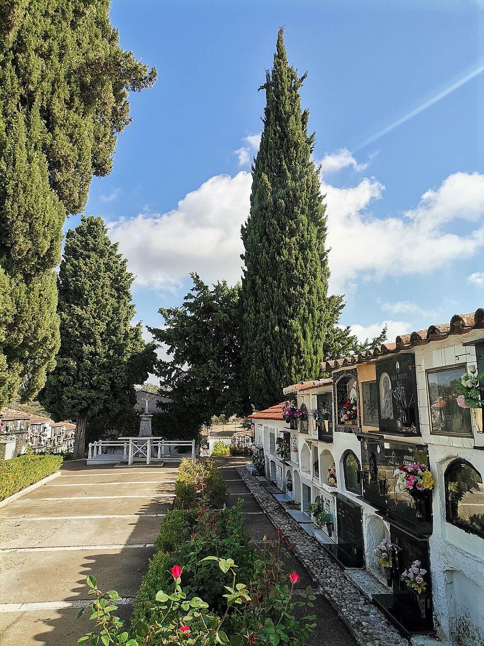 Foto 3 — Cardeña, Córdoba (14445)