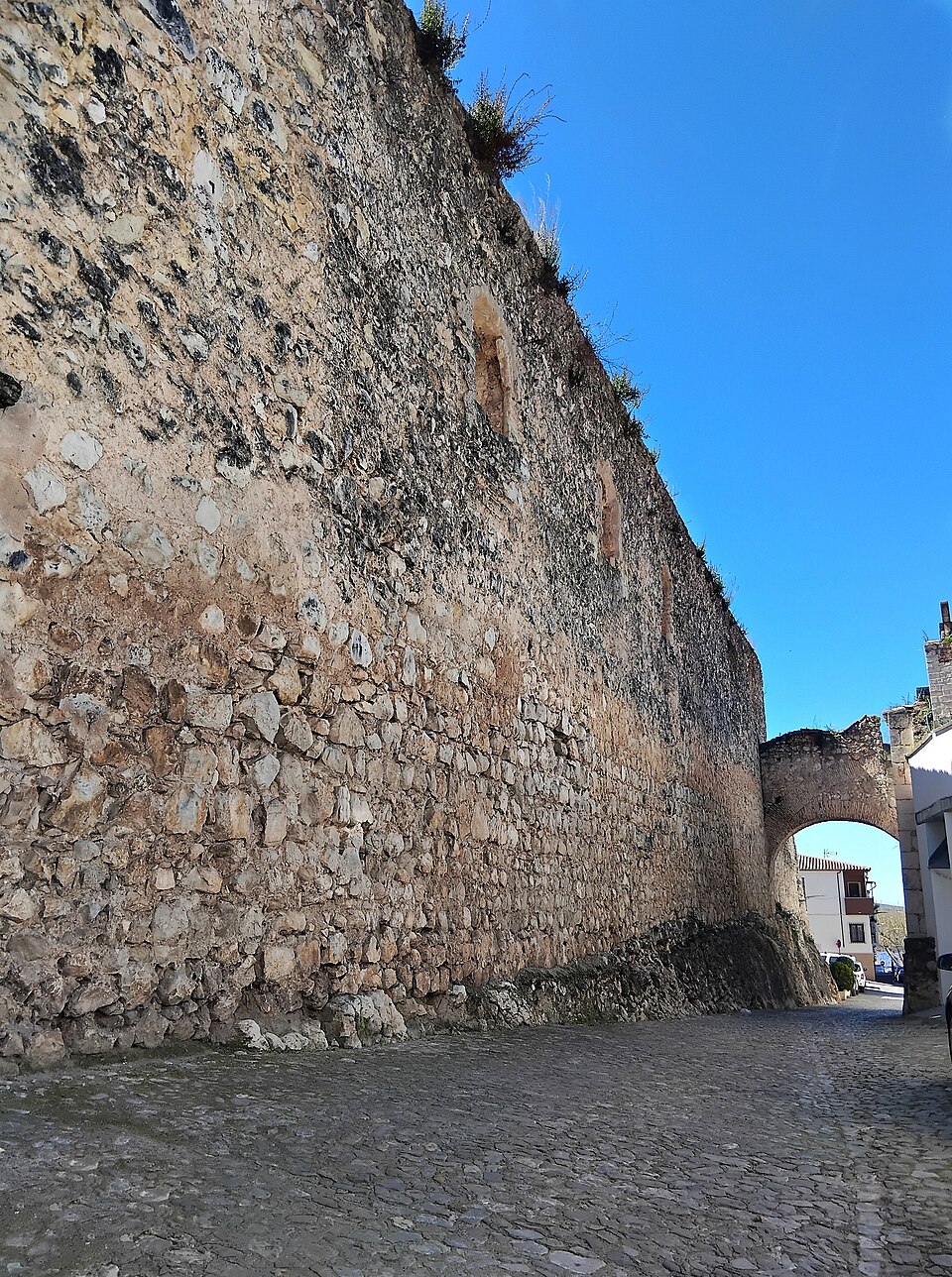 Foto 3 — Doña Mencía, Córdoba (14860)