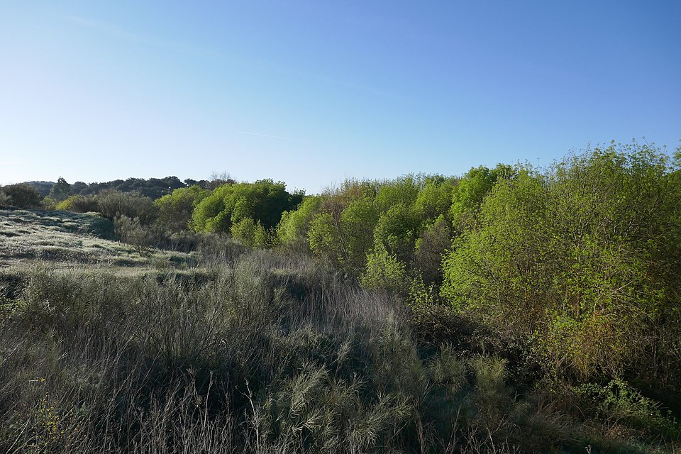 Foto 2 — Espiel, Córdoba (14220)