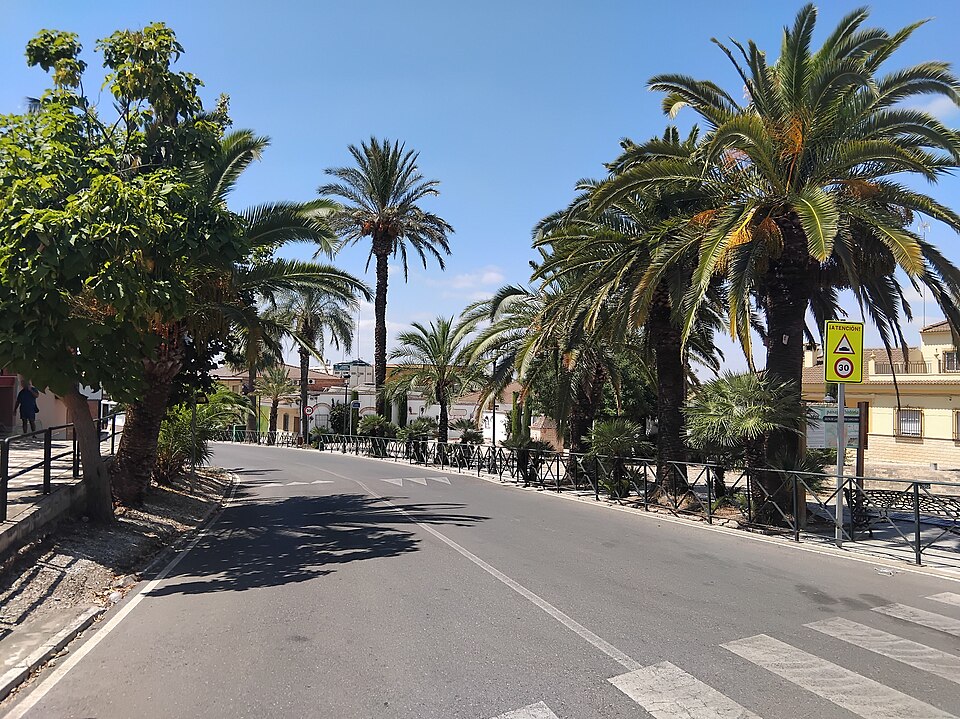 Fuente Palmera