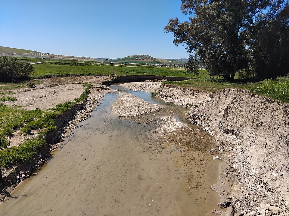 Foto 2 — Montemayor, Córdoba (14530)