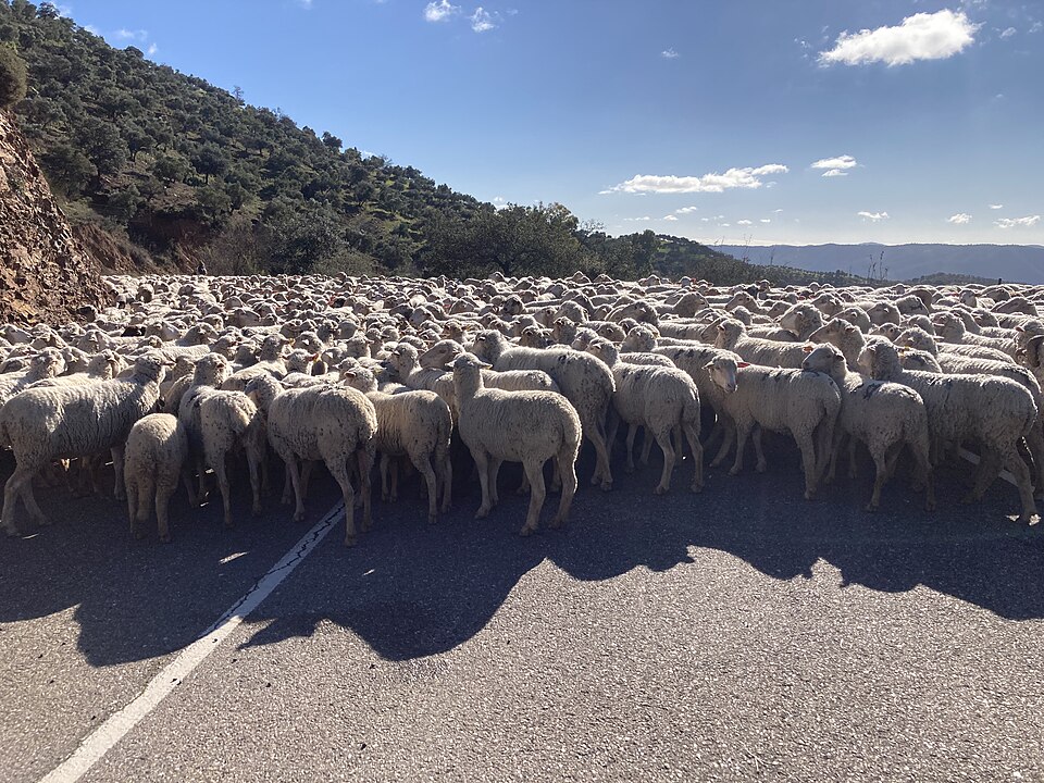 Foto 2 — Obejo, Córdoba (14350)