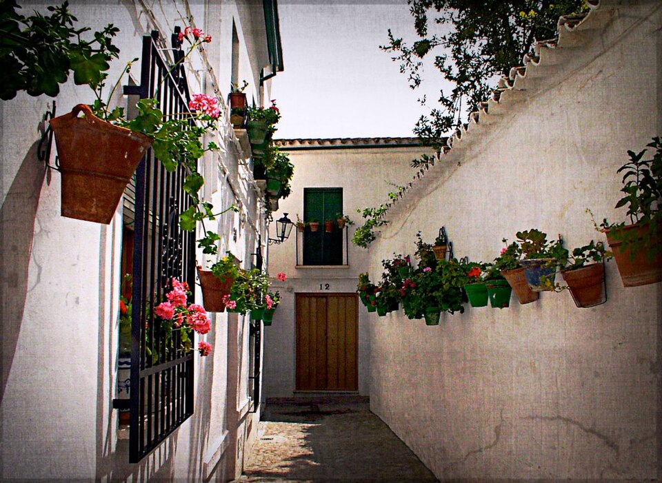 Foto 2 — Priego de Córdoba, Córdoba (14800)