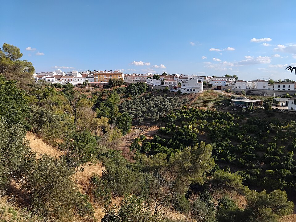 Foto 2 — Santaella, Córdoba (14546)