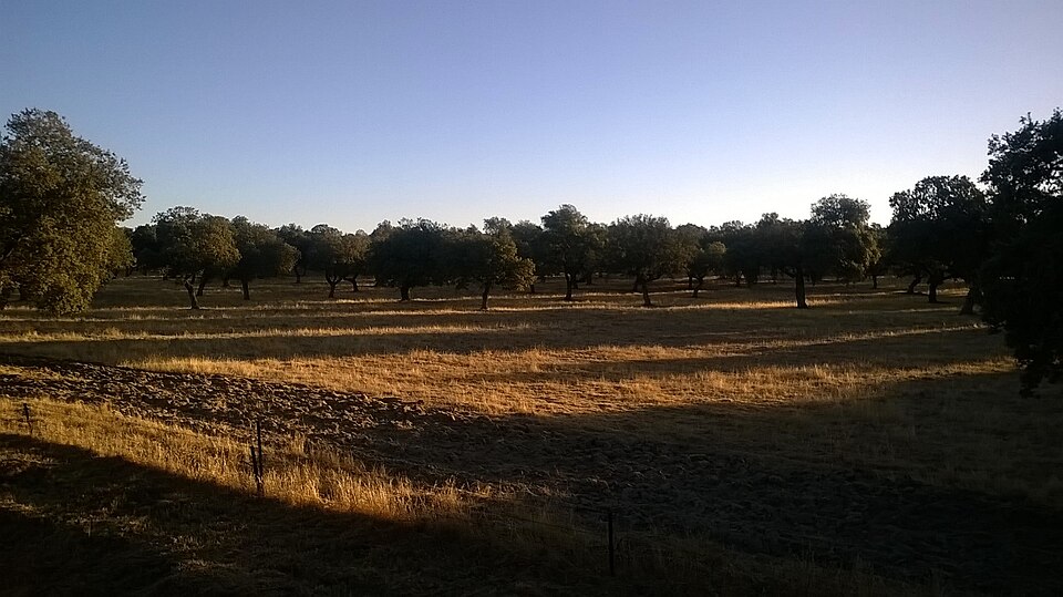 Foto 2 — Villanueva de Córdoba, Córdoba (14440)