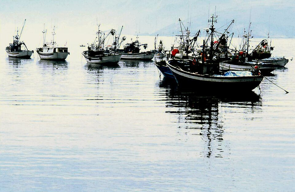Foto 3 — Malpica de Bergantiños, A Coruña (15043)