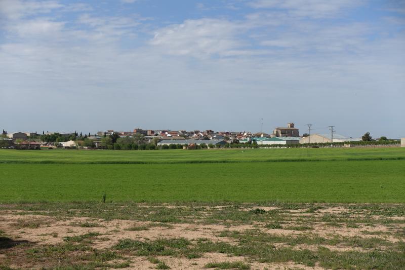 Alberca de Záncara, La