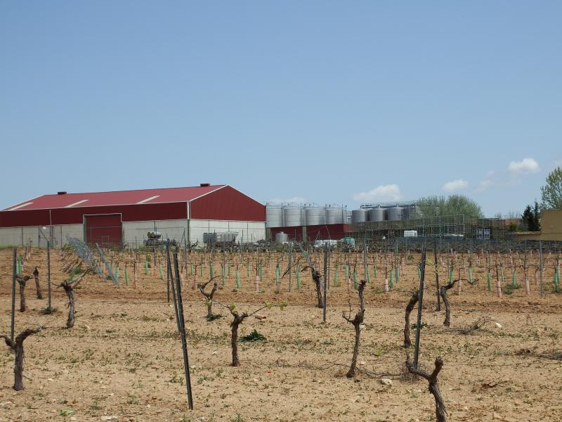 Vista de Fuente de Pedro Naharro, Cuenca (16411)