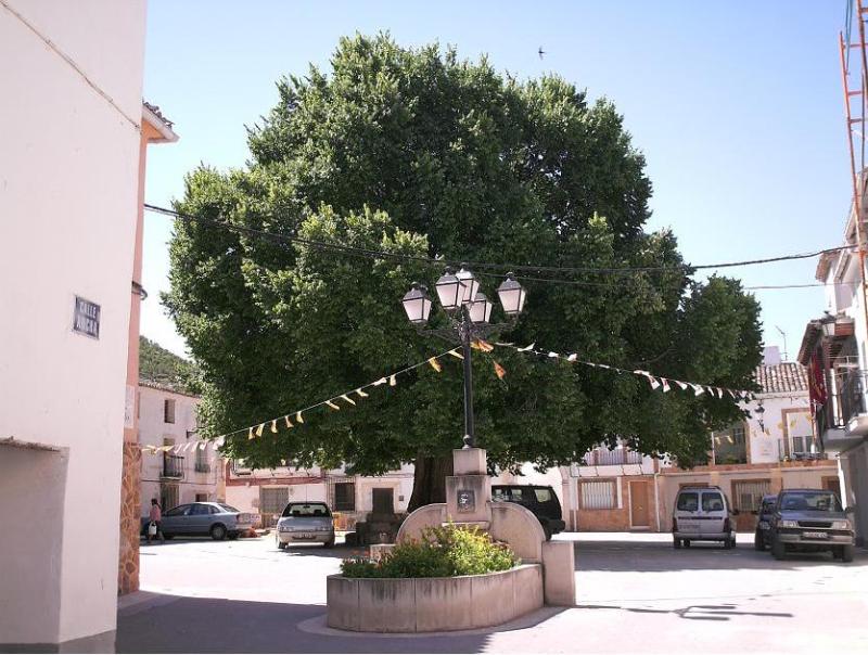 Vista de Torralba, Cuenca (16842)