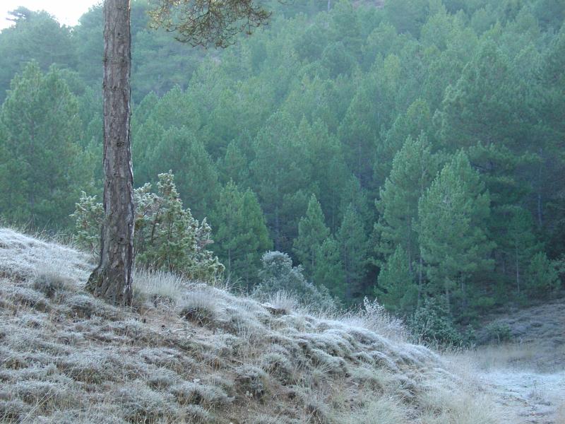Vista de Valdemeca, Cuenca (16152)
