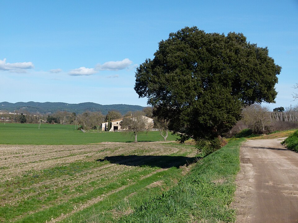 Foto 1 — Cassà de la Selva, Girona (17044)