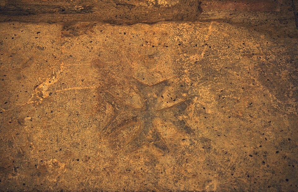 Foto 1 — Castelló d'Empúries, Girona (17047)