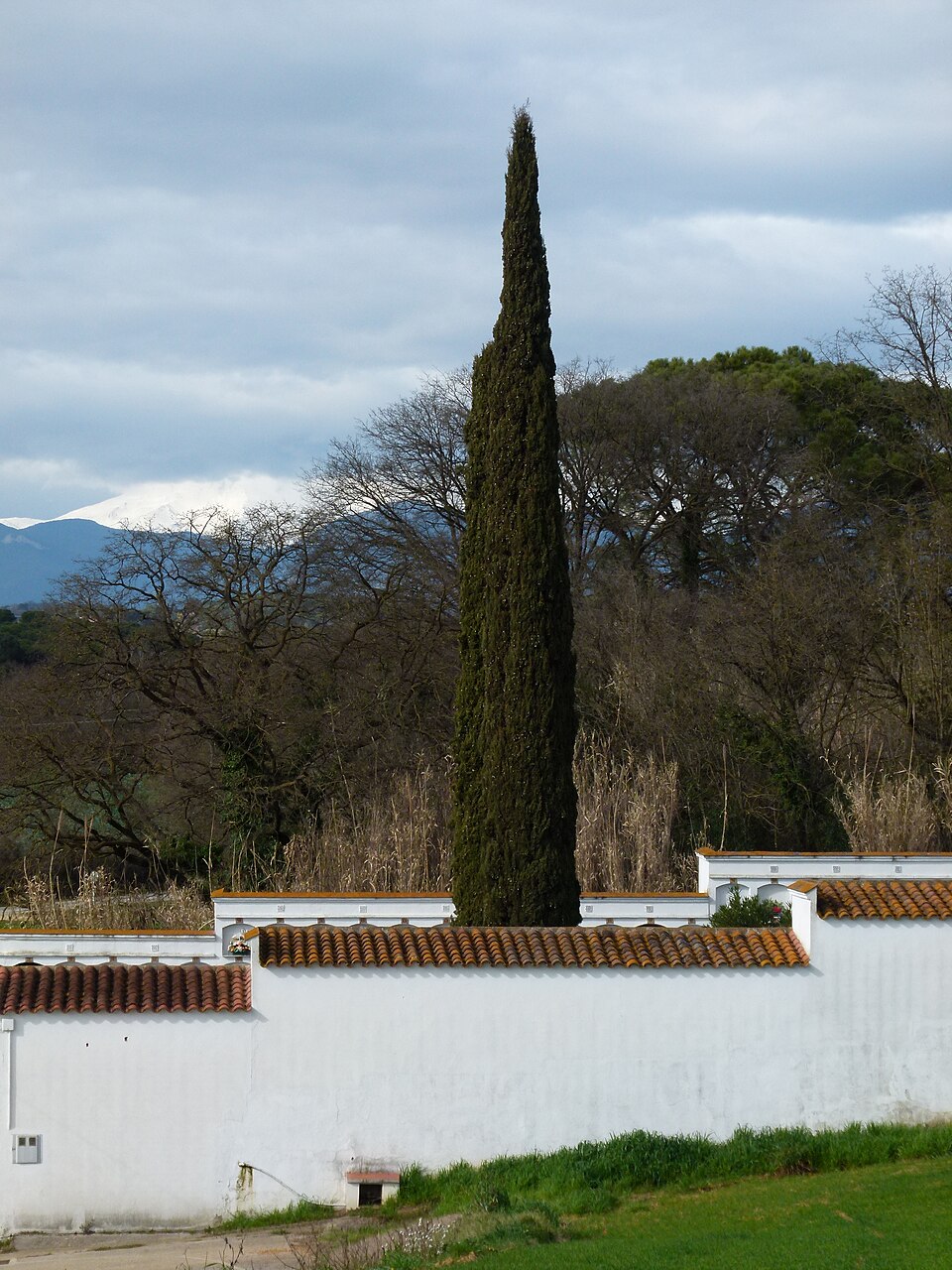 Vista de Cornellà del Terri, Girona (17056)