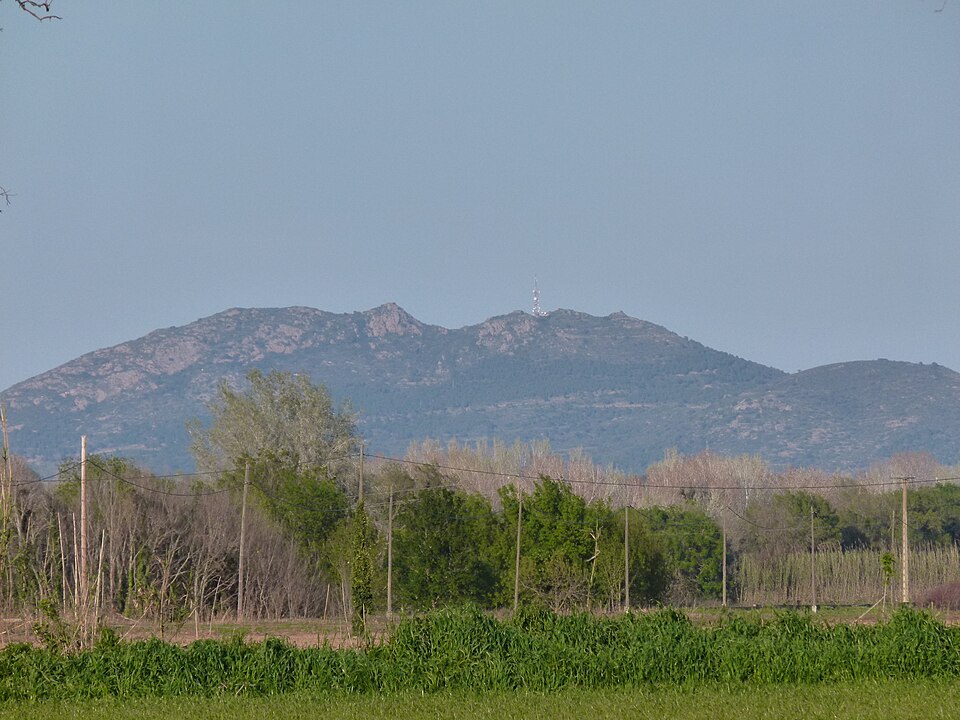 Foto 2 — Peralada, Girona (17132)