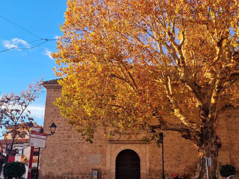 Vista de Alfacar, Granada (18170)