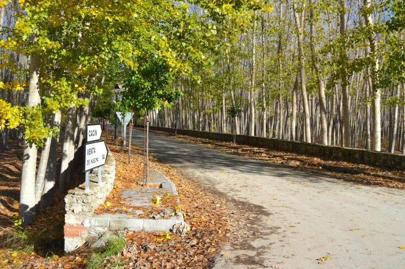 Vista de Cacín, Granada (18129)