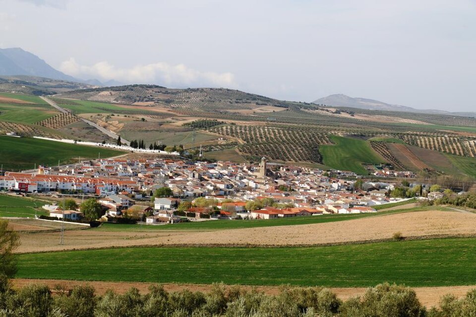 Foto 4 — Guadahortuna, Granada (18560)