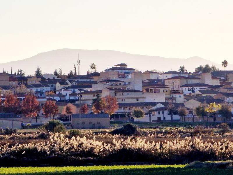 Vista de Láchar, Granada (18115)