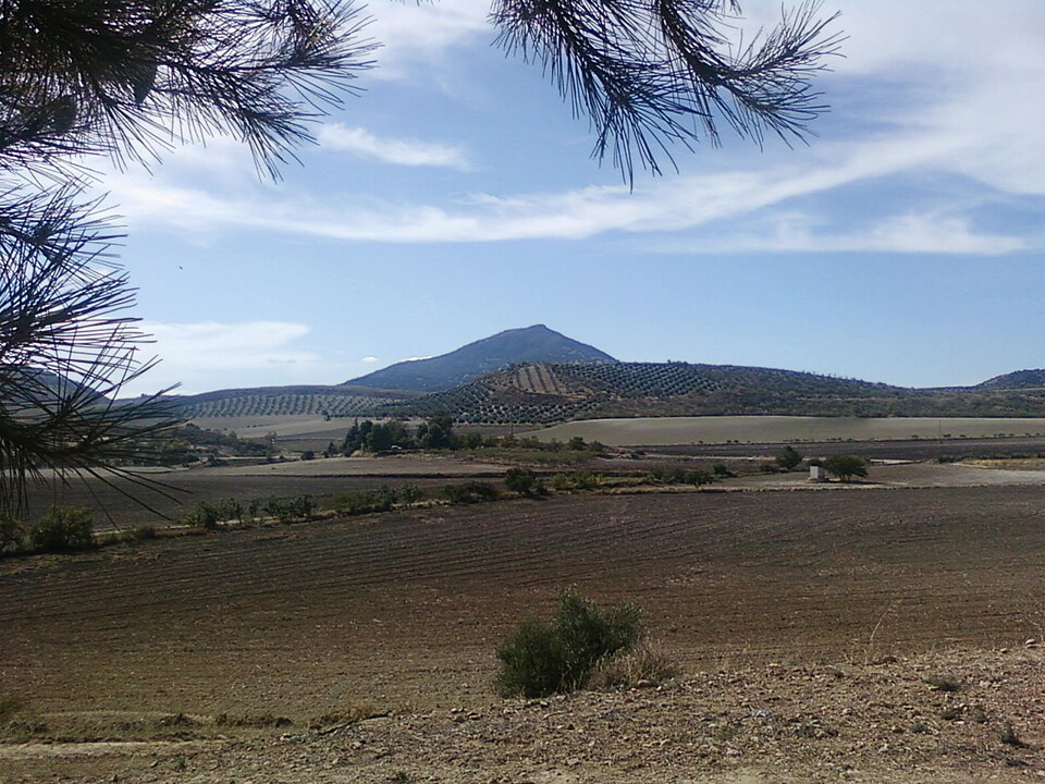 Foto 2 — Montejícar, Granada (18561)