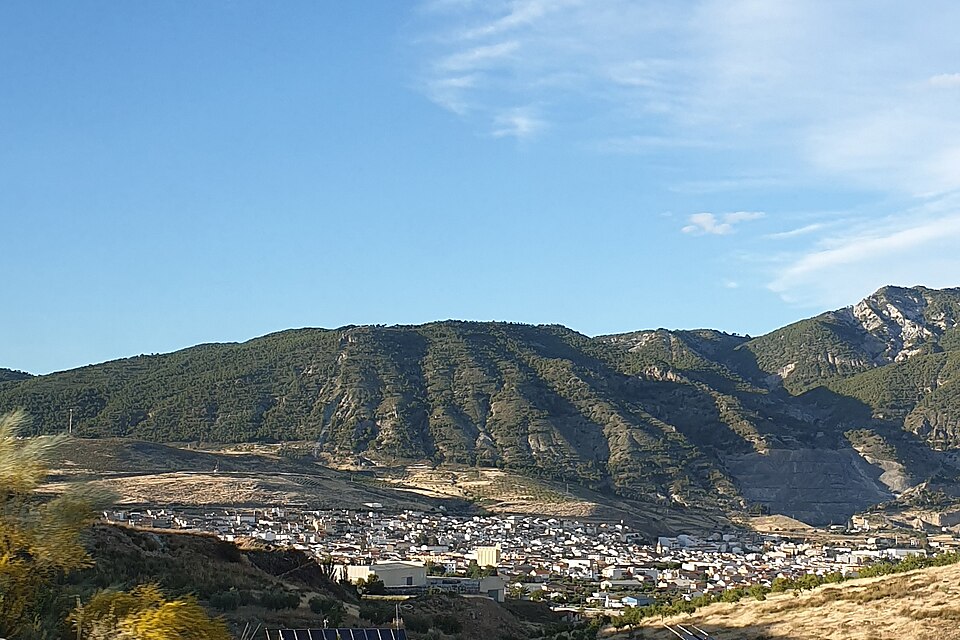 Foto 5 — Padul, Granada (18640)