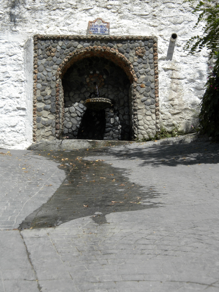 Foto 5 — Pinos Genil, Granada (18191)
