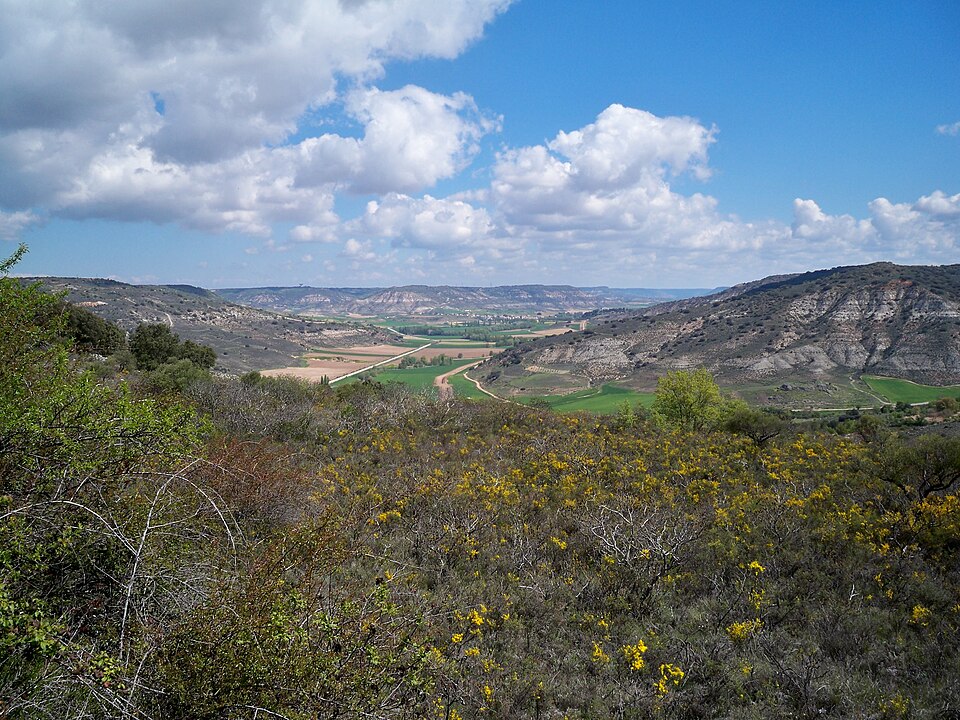 Foto 2 — Loranca de Tajuña, Guadalajara (19141)