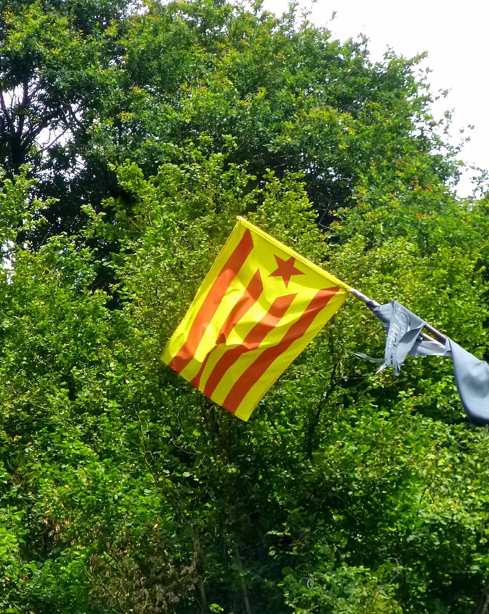 Foto 2 — Alegia, Gipuzkoa (20260)
