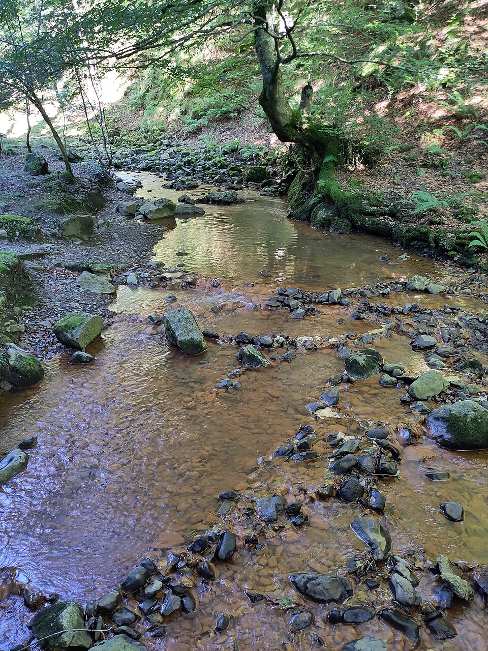 Foto 2 — Ataun, Gipuzkoa (20211)