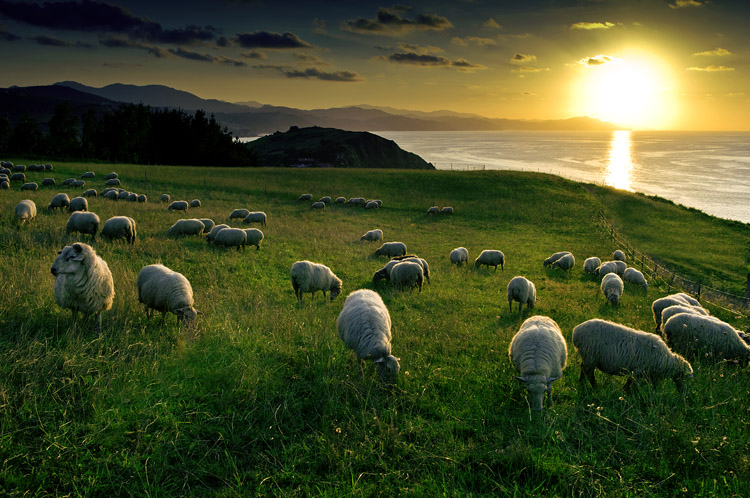 Foto 3 — Zumaia, Gipuzkoa (20750)