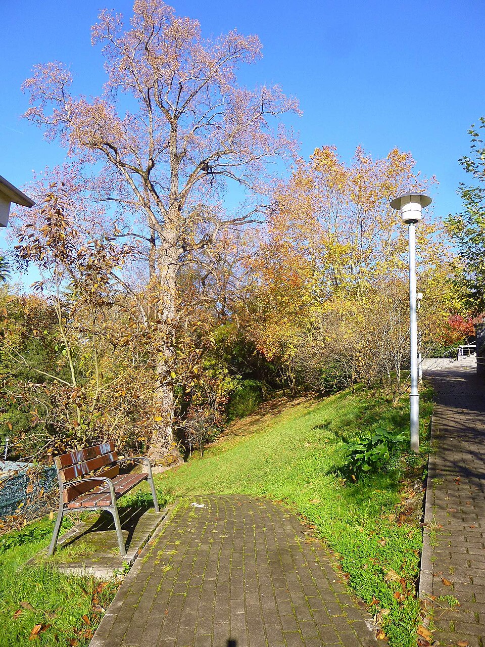 Foto 4 — Astigarraga, Gipuzkoa (20115)