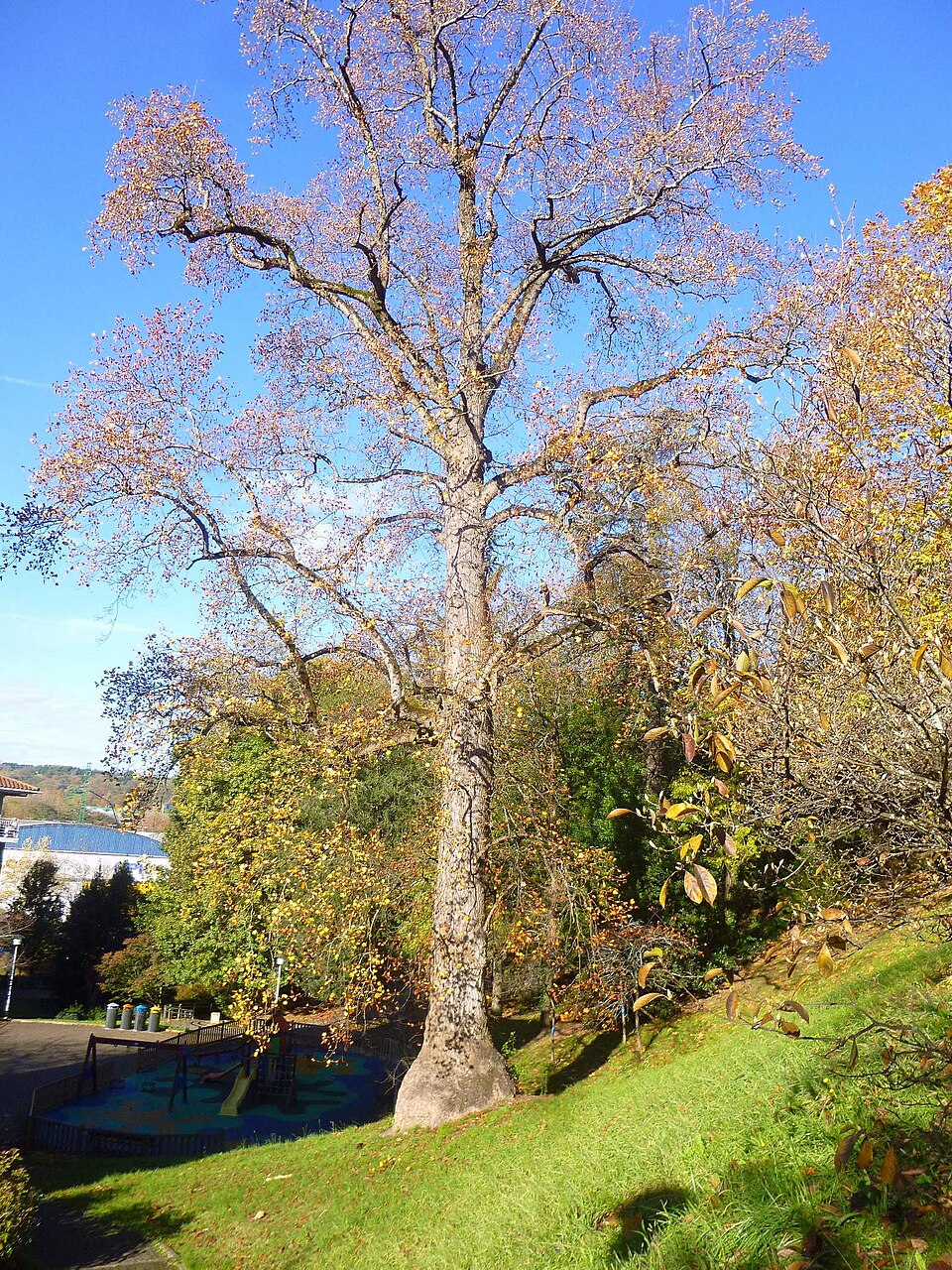 Foto 5 — Astigarraga, Gipuzkoa (20115)