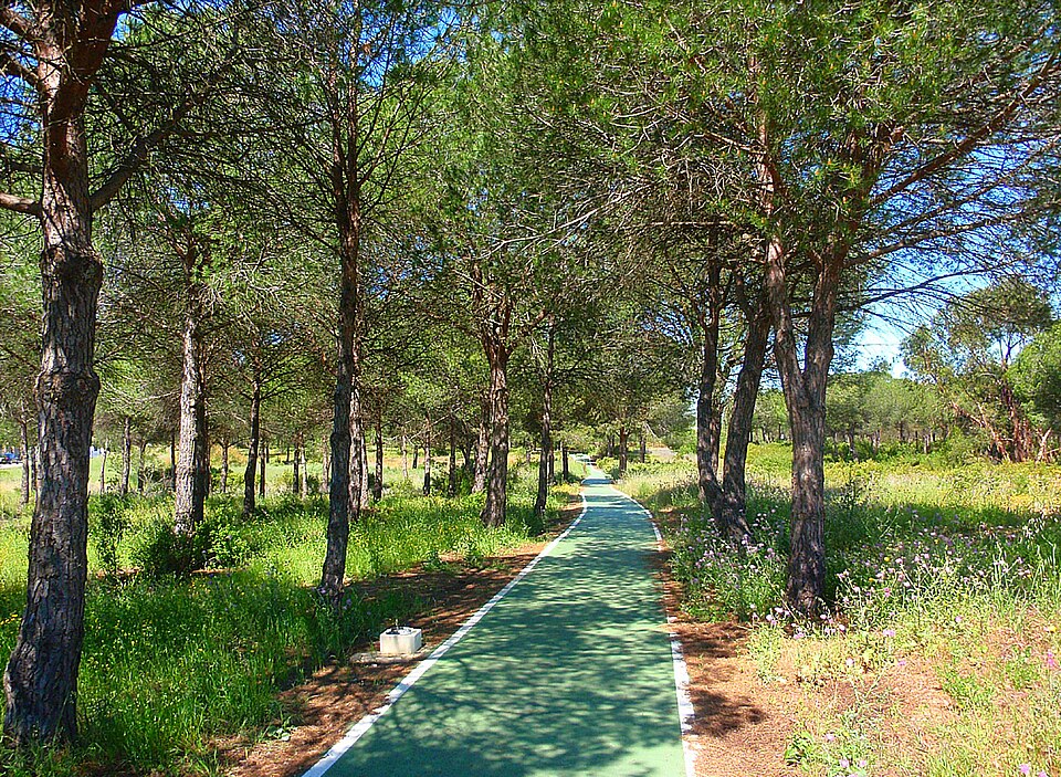 Foto 3 — Aljaraque, Huelva (21002)