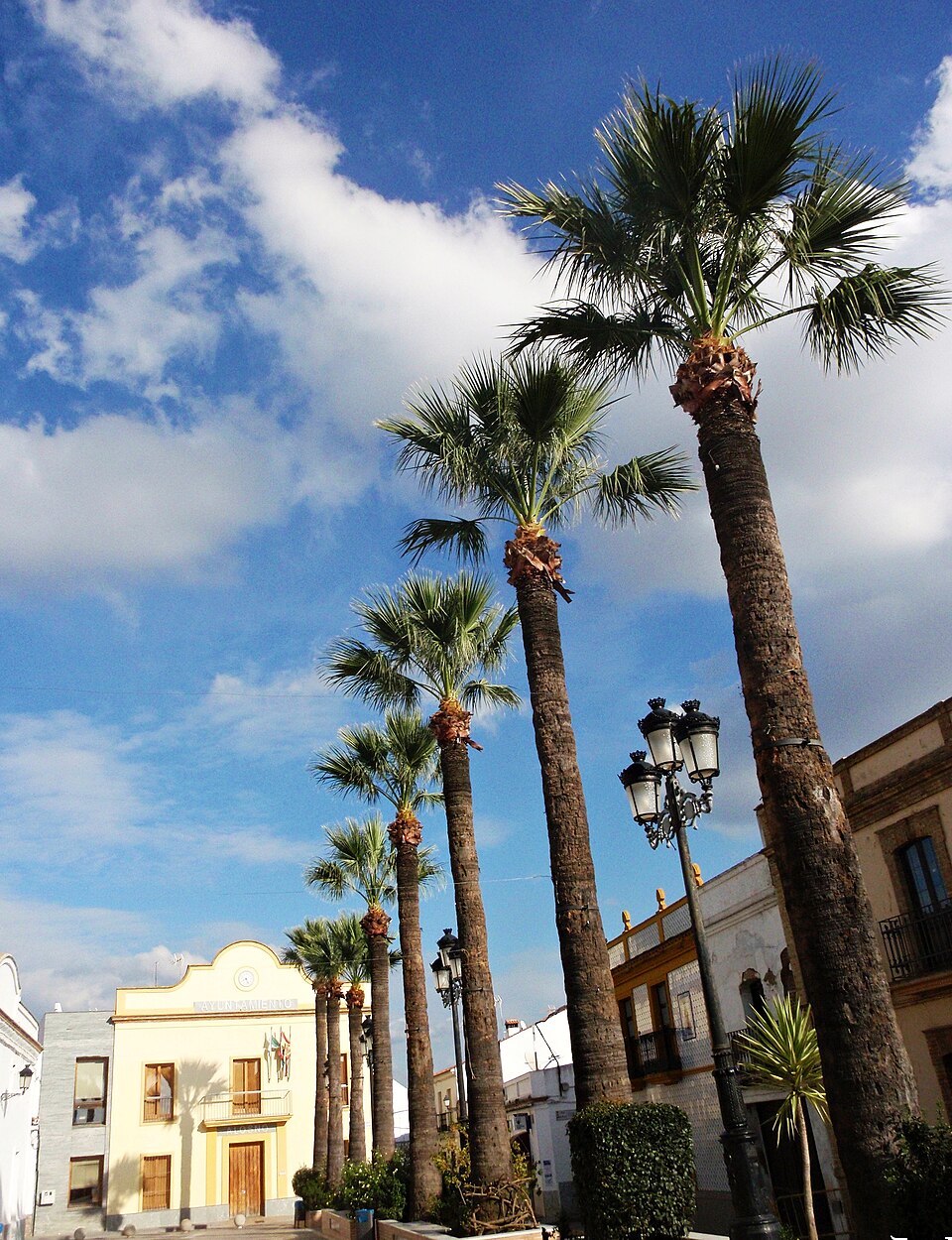 Foto 2 — Alosno, Huelva (21520)