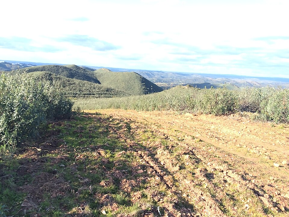 Foto 3 — Encinasola, Huelva (21390)