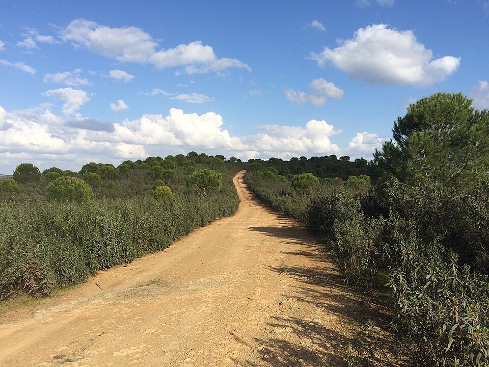 Foto 4 — Encinasola, Huelva (21390)