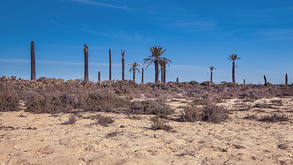 Foto 3 — Punta Umbría, Huelva (21100)