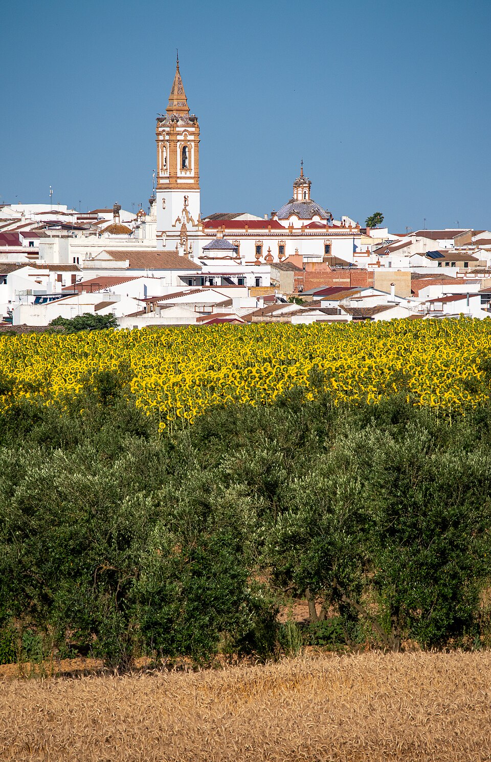 Foto 2 — Rociana del Condado, Huelva (21720)