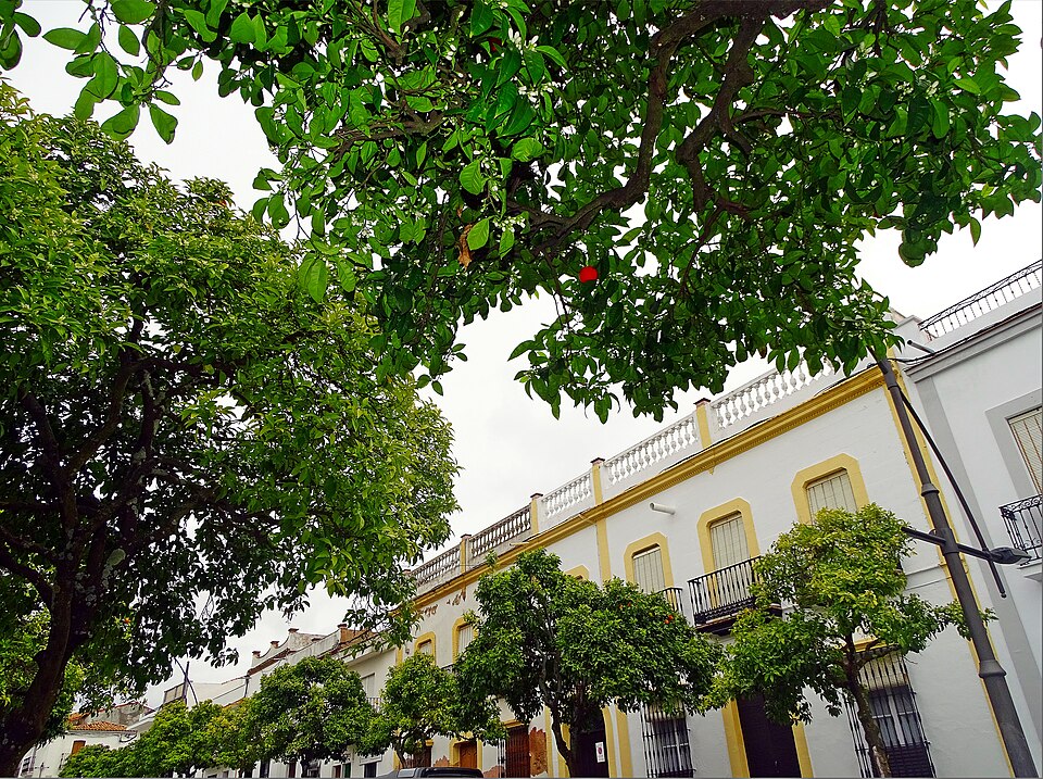 Foto 4 — Valverde del Camino, Huelva (21600)