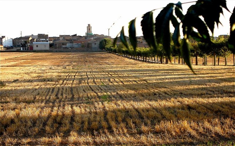 Vista de Alcampell, Huesca (22560)