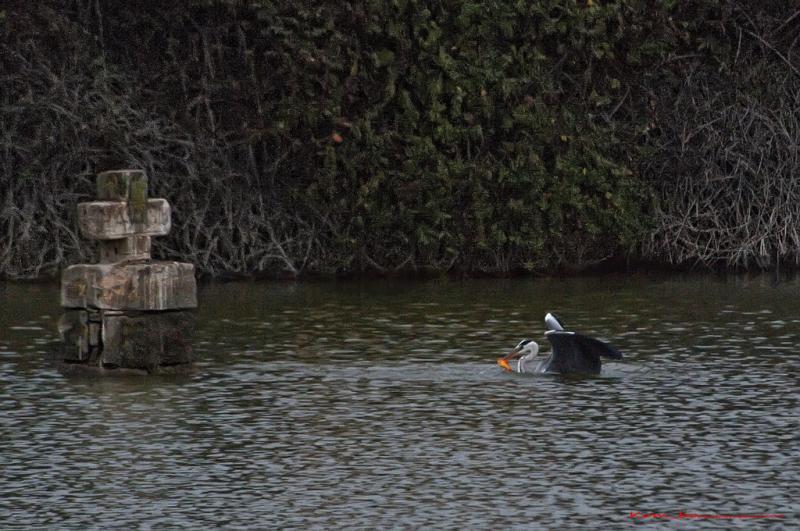 Vista de Angüés, Huesca (22123)