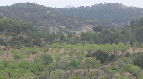Foto 4 — Ayerbe, Huesca (22800)