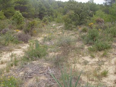 Foto 5 — Ayerbe, Huesca (22800)
