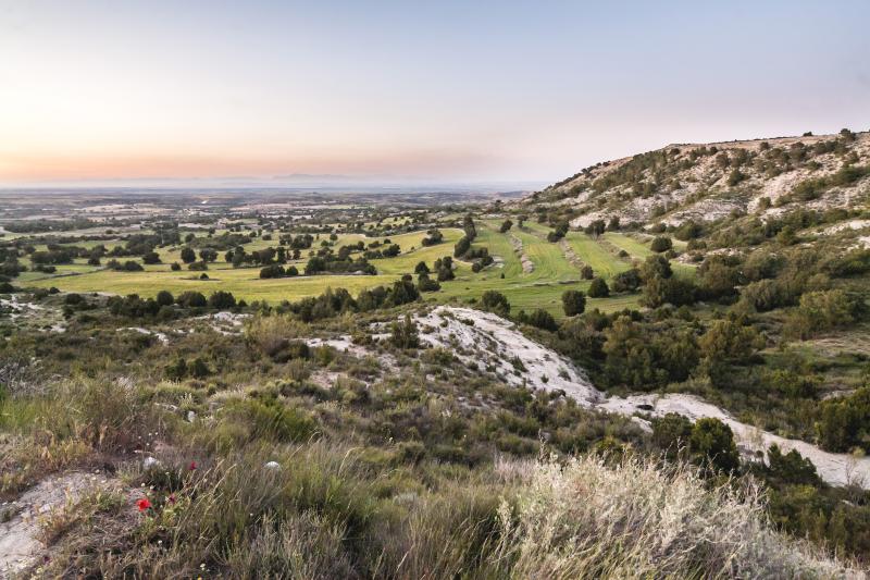 Vista de Castejón de Monegros, Huesca (22222)