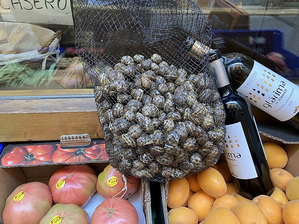 Foto 4 — Graus, Huesca (22430)