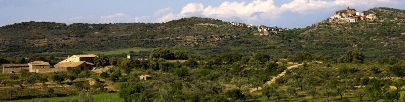 Vista de Hoz y Costean, Huesca (22908)