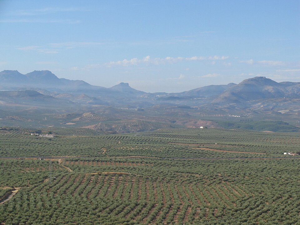 Foto 3 — Alcaudete, Jaén (23660)