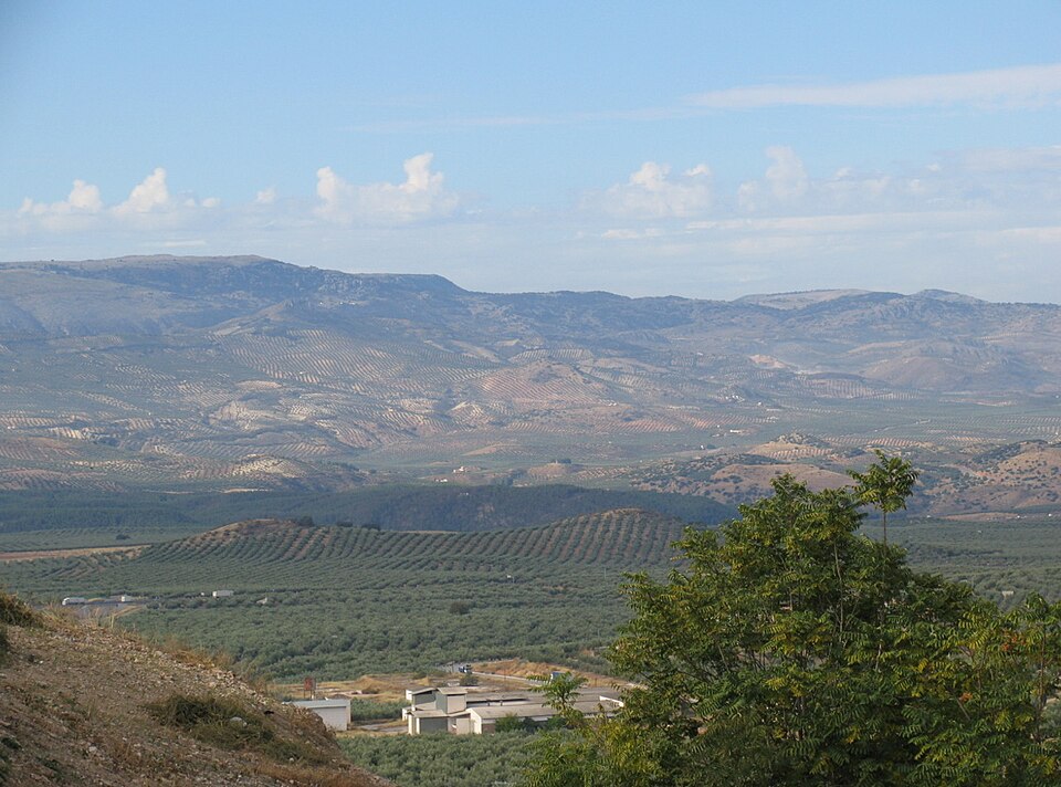 Foto 4 — Alcaudete, Jaén (23660)