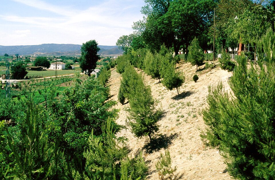 Foto 3 — Andújar, Jaén (23740)